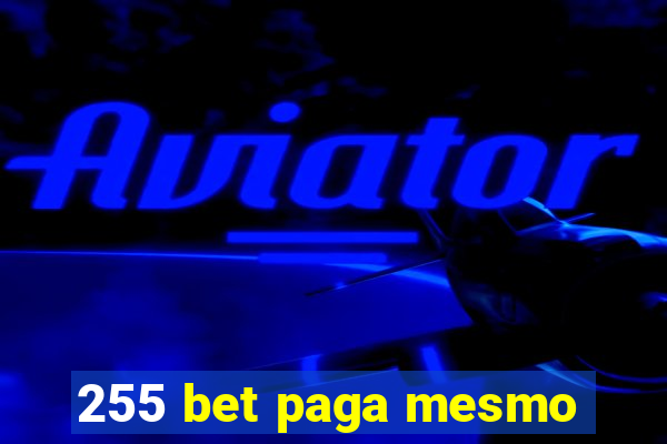 255 bet paga mesmo